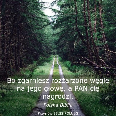 Picture 03 - Przysłów 25:22 POLUBG - Bo zgarniesz rozżarzone węgle na jego głowę, - Bible Verse Picture