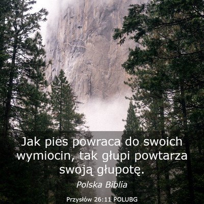 Picture 03 - Przysłów 26:11 POLUBG - Jak pies powraca do swoich wymiocin, tak głupi - Bible Verse Picture