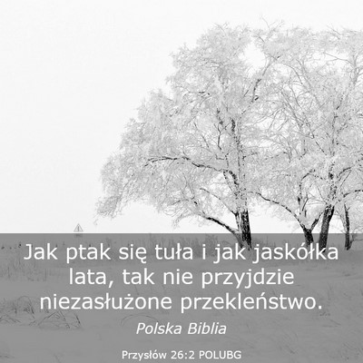 Picture 03 - Przysłów 26:2 POLUBG - Jak ptak się tuła i jak jaskółka lata, tak - Bible Verse Picture