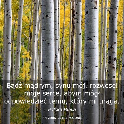 Picture 03 - Przysłów 27:11 POLUBG - Bądź mądrym, synu mój, rozwesel moje serce, - Bible Verse Picture