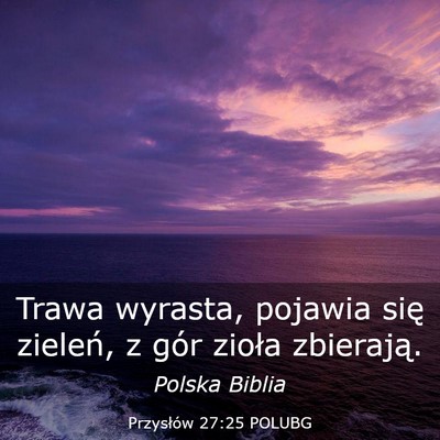 Picture 03 - Przysłów 27:25 POLUBG - Trawa wyrasta, pojawia się zieleń, z gór - Bible Verse Picture