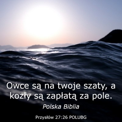 Picture 03 - Przysłów 27:26 POLUBG - Owce są na twoje szaty, a kozły są zapłatą - Bible Verse Picture