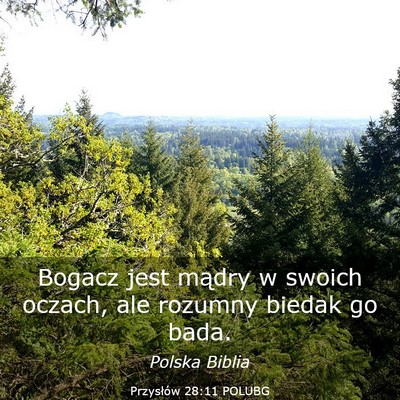 Picture 03 - Przysłów 28:11 POLUBG - Bogacz jest mądry w swoich oczach, ale rozumny - Bible Verse Picture