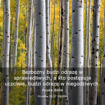 Picture 03 - Przysłów 29:27 POLUBG - Bezbożny budzi odrazę w sprawiedliwych, a kto - Bible Verse Picture