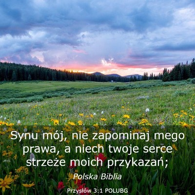 Picture 03 - Przysłów 3:1 POLUBG - Synu mój, nie zapominaj mego prawa, a niech - Bible Verse Picture
