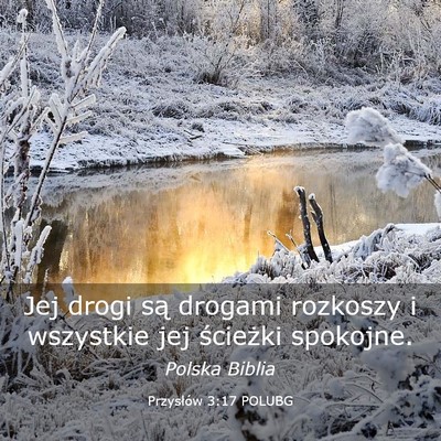 Picture 03 - Przysłów 3:17 POLUBG - Jej drogi są drogami rozkoszy i wszystkie jej - Bible Verse Picture