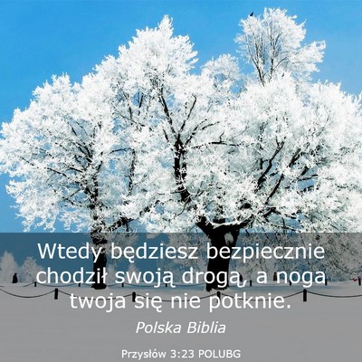 Picture 03 - Przysłów 3:23 POLUBG - Wtedy będziesz bezpiecznie chodził swoją - Bible Verse Picture