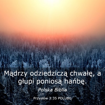 Picture 03 - Przysłów 3:35 POLUBG - Mądrzy odziedziczą chwałę, a głupi poniosą - Bible Verse Picture