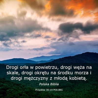 Picture 03 - Przysłów 30:19 POLUBG - Drogi orła w powietrzu, drogi węża na skale, - Bible Verse Picture