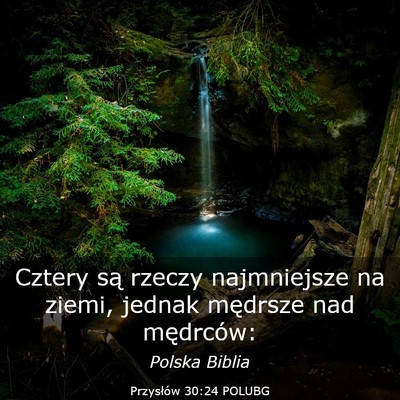 Picture 03 - Przysłów 30:24 POLUBG - Cztery są rzeczy najmniejsze na ziemi, jednak - Bible Verse Picture