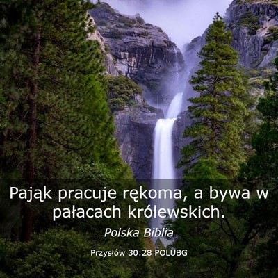 Picture 03 - Przysłów 30:28 POLUBG - Pająk pracuje rękoma, a bywa w pałacach - Bible Verse Picture
