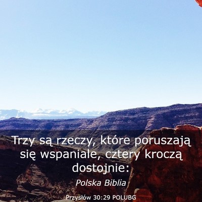 Picture 03 - Przysłów 30:29 POLUBG - Trzy są rzeczy, które poruszają się - Bible Verse Picture