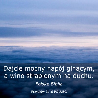 Picture 03 - Przysłów 31:6 POLUBG - Dajcie mocny napój ginącym, a wino strapionym - Bible Verse Picture