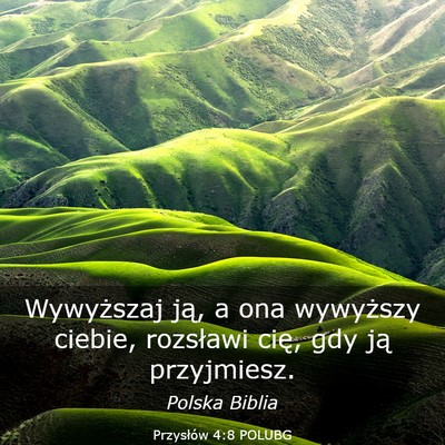 Picture 03 - Przysłów 4:8 POLUBG - Wywyższaj ją, a ona wywyższy ciebie, rozsławi - Bible Verse Picture