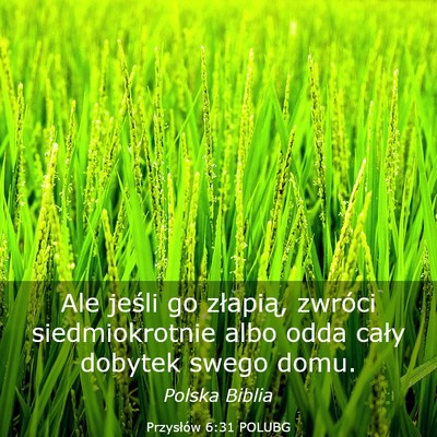 Picture 03 - Przysłów 6:31 POLUBG - Ale jeśli go złapią, zwróci siedmiokrotnie - Bible Verse Picture