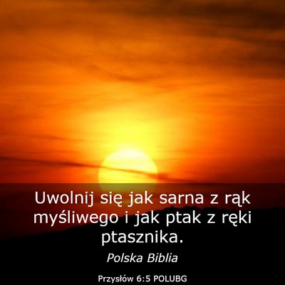 Picture 03 - Przysłów 6:5 POLUBG - Uwolnij się jak sarna z rąk myśliwego i jak - Bible Verse Picture