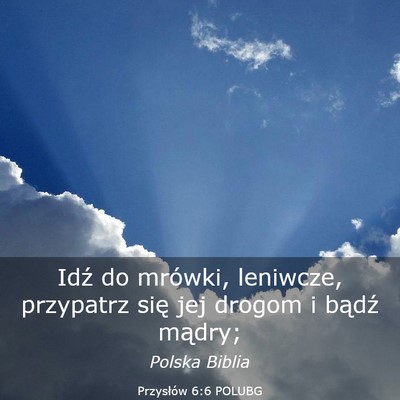 Picture 03 - Przysłów 6:6 POLUBG - Idź do mrówki, leniwcze, przypatrz się jej - Bible Verse Picture