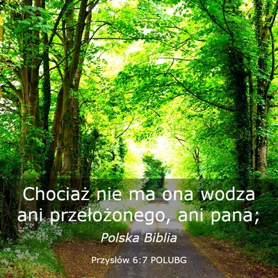 Picture 03 - Przysłów 6:7 POLUBG - Chociaż nie ma ona wodza ani przełożonego, ani - Bible Verse Picture