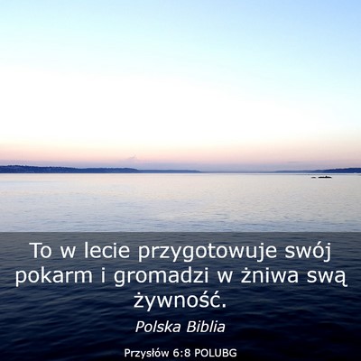 Picture 03 - Przysłów 6:8 POLUBG - To w lecie przygotowuje swój pokarm i gromadzi w - Bible Verse Picture