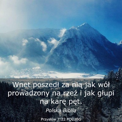 Picture 03 - Przysłów 7:22 POLUBG - Wnet poszedł za nią jak wół prowadzony na - Bible Verse Picture