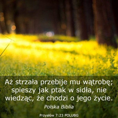 Picture 03 - Przysłów 7:23 POLUBG - Aż strzała przebije mu wątrobę; spieszy jak - Bible Verse Picture