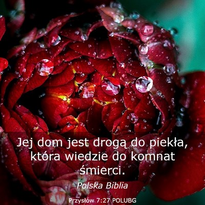 Picture 03 - Przysłów 7:27 POLUBG - Jej dom jest drogą do piekła, która wiedzie do - Bible Verse Picture