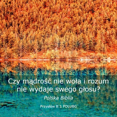 Picture 03 - Przysłów 8:1 POLUBG - Czy mądrość nie woła i rozum nie wydaje swego - Bible Verse Picture