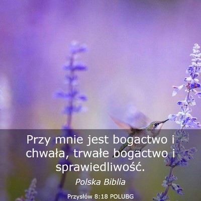 Picture 03 - Przysłów 8:18 POLUBG - Przy mnie jest bogactwo i chwała, trwałe - Bible Verse Picture