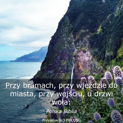 Picture 03 - Przysłów 8:3 POLUBG - Przy bramach, przy wjeździe do miasta, przy - Bible Verse Picture