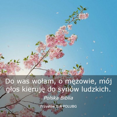 Picture 03 - Przysłów 8:4 POLUBG - Do was wołam, o mężowie, mój głos kieruję - Bible Verse Picture