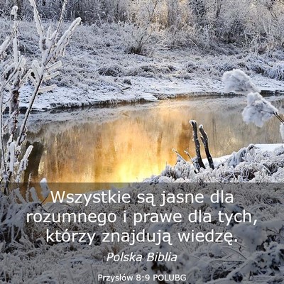 Picture 03 - Przysłów 8:9 POLUBG - Wszystkie są jasne dla rozumnego i prawe dla - Bible Verse Picture