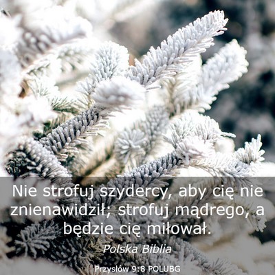 Picture 03 - Przysłów 9:8 POLUBG - Nie strofuj szydercy, aby cię nie znienawidził; - Bible Verse Picture