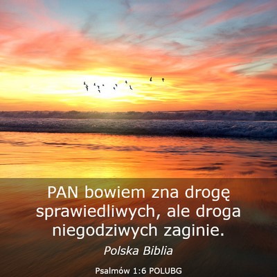 Picture 03 - Psalmów 1:6 POLUBG - PAN bowiem zna drogę sprawiedliwych, ale droga - Bible Verse Picture
