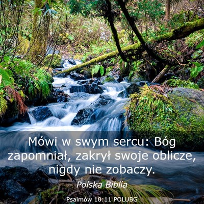 Picture 03 - Psalmów 10:11 POLUBG - Mówi w swym sercu: Bóg zapomniał, zakrył - Bible Verse Picture