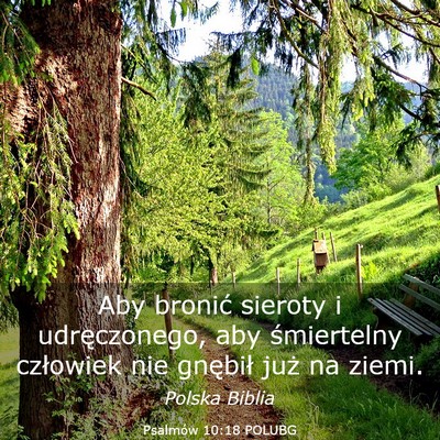 Picture 03 - Psalmów 10:18 POLUBG - Aby bronić sieroty i udręczonego, aby - Bible Verse Picture