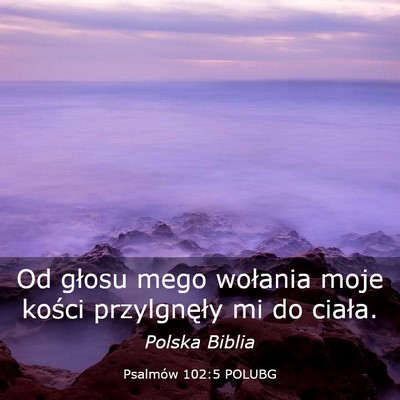 Picture 03 - Psalmów 102:5 POLUBG - Od głosu mego wołania moje kości przylgnęły - Bible Verse Picture
