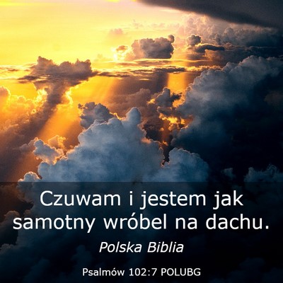 Picture 03 - Psalmów 102:7 POLUBG - Czuwam i jestem jak samotny wróbel na - Bible Verse Picture