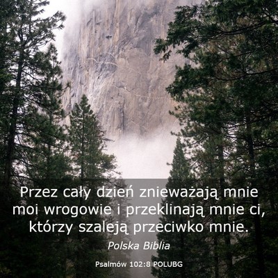 Picture 03 - Psalmów 102:8 POLUBG - Przez cały dzień znieważają mnie moi wrogowie - Bible Verse Picture