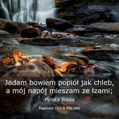 Picture 03 - Psalmów 102:9 POLUBG - Jadam bowiem popiół jak chleb, a mój napój - Bible Verse Picture