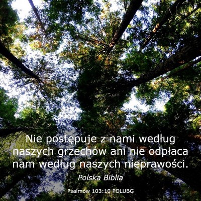 Picture 03 - Psalmów 103:10 POLUBG - Nie postępuje z nami według naszych grzechów - Bible Verse Picture