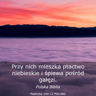 Picture 03 - Psalmów 104:12 POLUBG - Przy nich mieszka ptactwo niebieskie i śpiewa - Bible Verse Picture