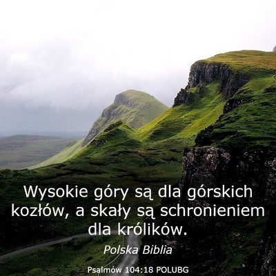 Picture 03 - Psalmów 104:18 POLUBG - Wysokie góry są dla górskich kozłów, a - Bible Verse Picture