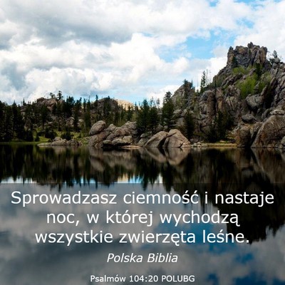Picture 03 - Psalmów 104:20 POLUBG - Sprowadzasz ciemność i nastaje noc, w której - Bible Verse Picture