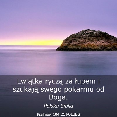 Picture 03 - Psalmów 104:21 POLUBG - Lwiątka ryczą za łupem i szukają swego - Bible Verse Picture