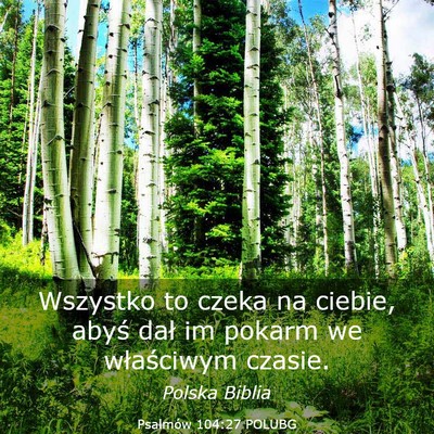 Picture 03 - Psalmów 104:27 POLUBG - Wszystko to czeka na ciebie, abyś dał im pokarm - Bible Verse Picture