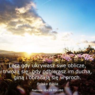 Picture 03 - Psalmów 104:29 POLUBG - Lecz gdy ukrywasz swe oblicze, trwożą się; gdy - Bible Verse Picture