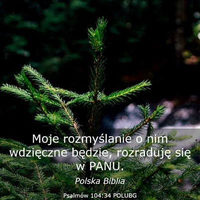 Picture 03 - Psalmów 104:34 POLUBG - Moje rozmyślanie o nim wdzięczne będzie, - Bible Verse Picture