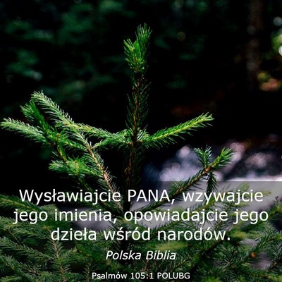 Picture 03 - Psalmów 105:1 POLUBG - Wysławiajcie PANA, wzywajcie jego imienia, - Bible Verse Picture