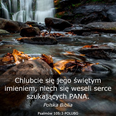Picture 03 - Psalmów 105:3 POLUBG - Chlubcie się jego świętym imieniem, niech się - Bible Verse Picture