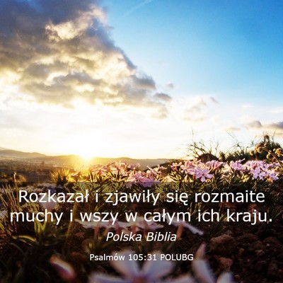 Picture 03 - Psalmów 105:31 POLUBG - Rozkazał i zjawiły się rozmaite muchy i wszy w - Bible Verse Picture